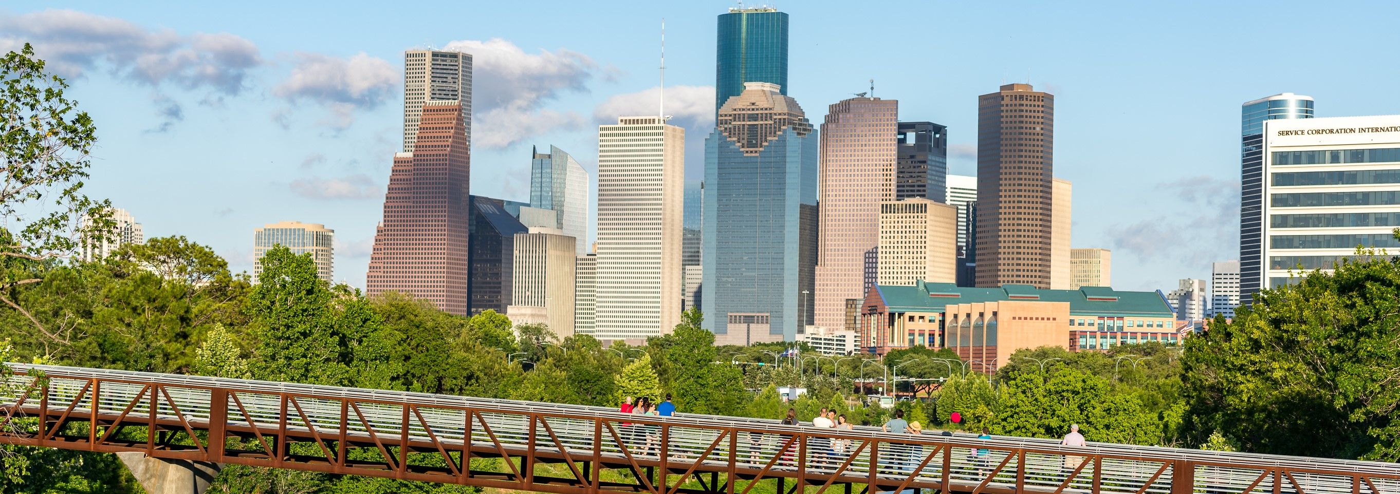 Bayou skyline banner