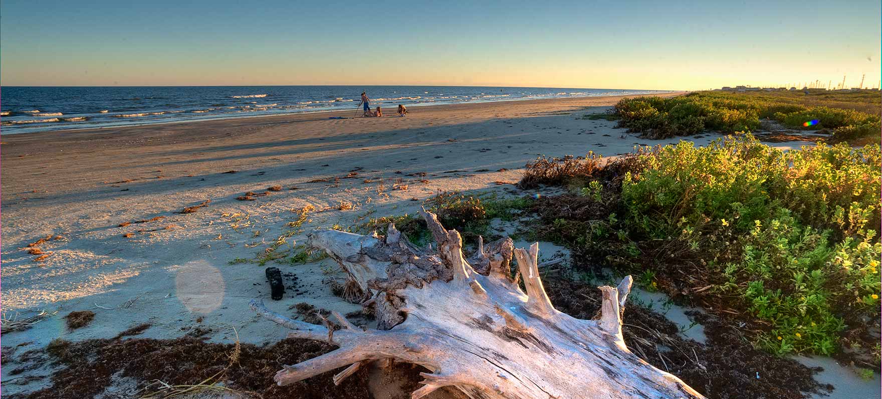 galveston island state park.jpg