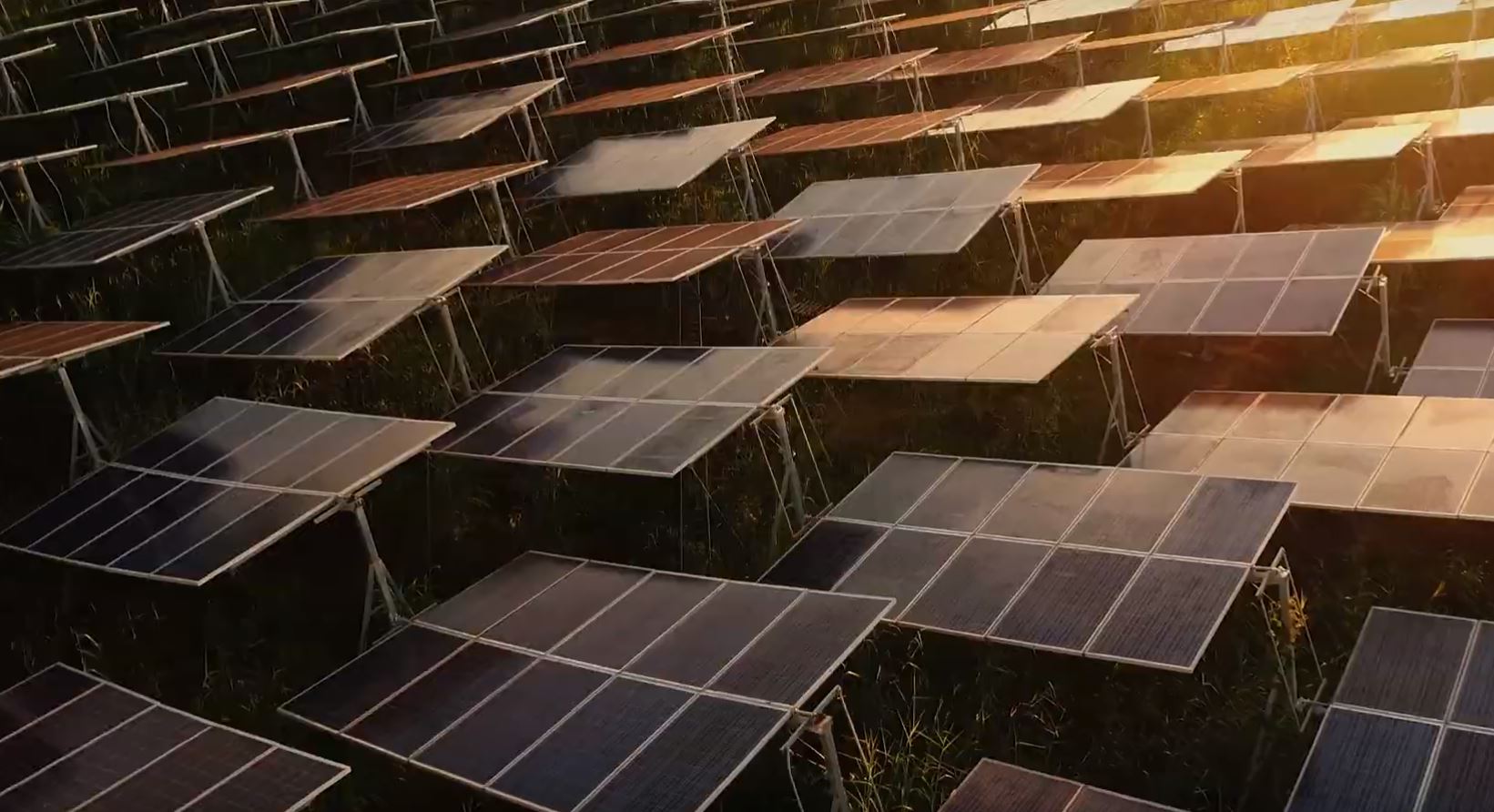 solar panels