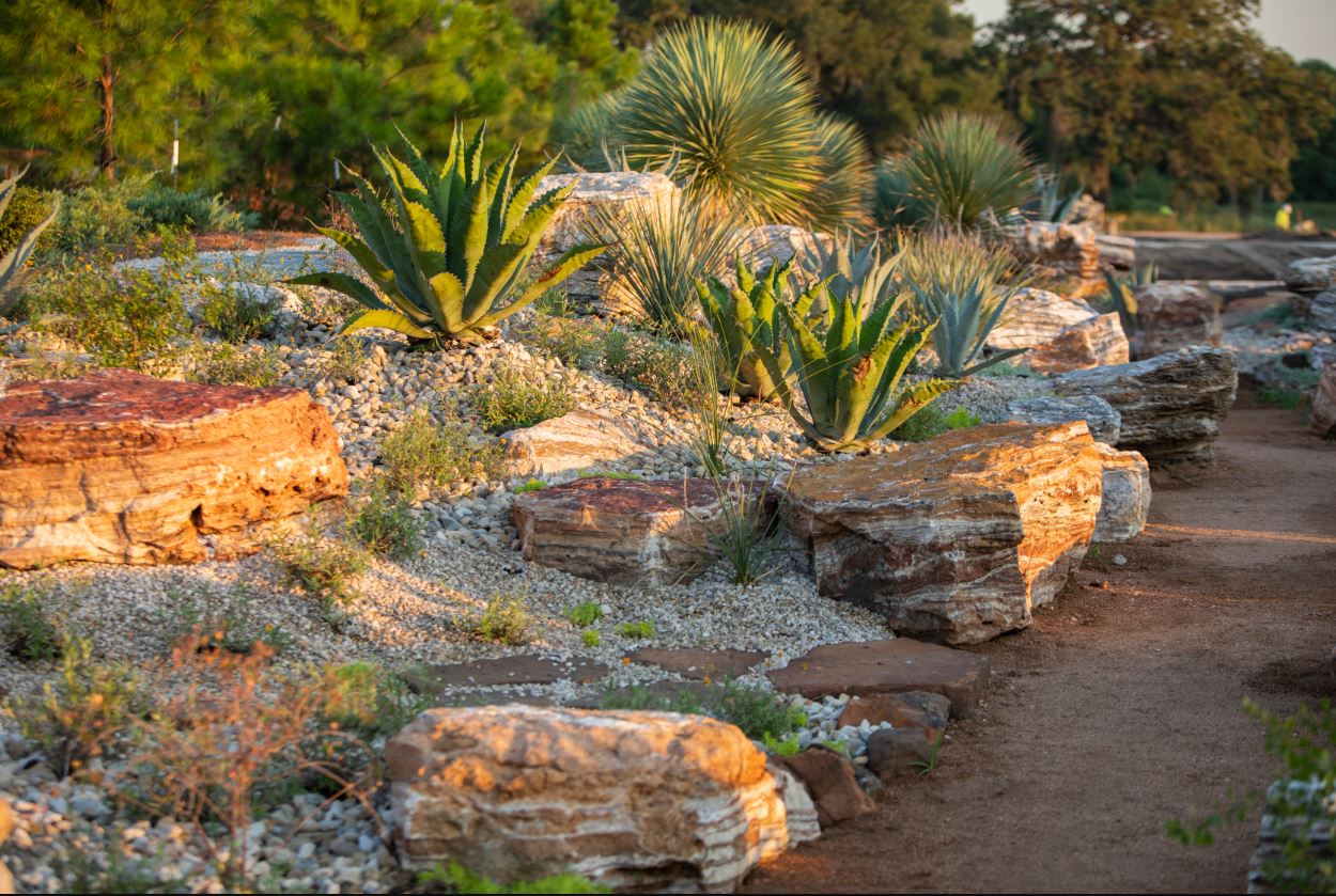 Houston Botanic Garden_Arid Valley.jpg 