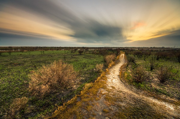 Galveston Island State Park 