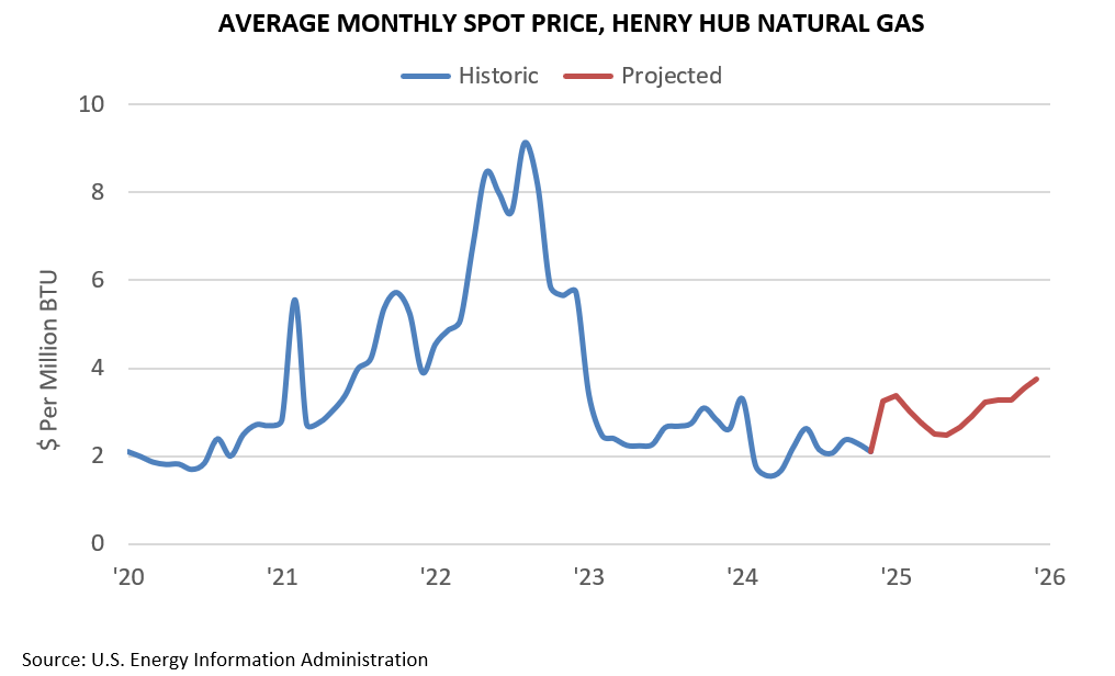 AVERAGE MONTHLY SPOT PRICE, HENRY HUB NATURAL GAS