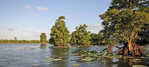 Sheldon Lake State Park & Environmental Learning Center